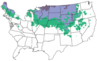 Hardiness Zone Map